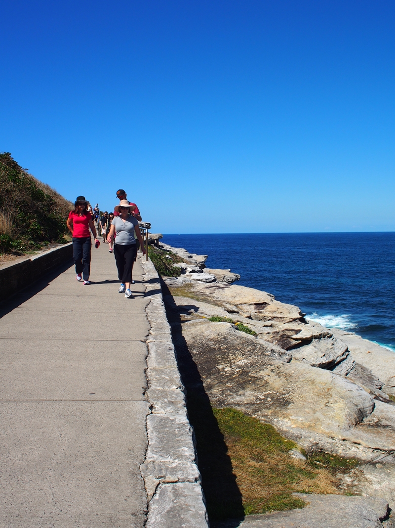 Bronte to Bondi Beach