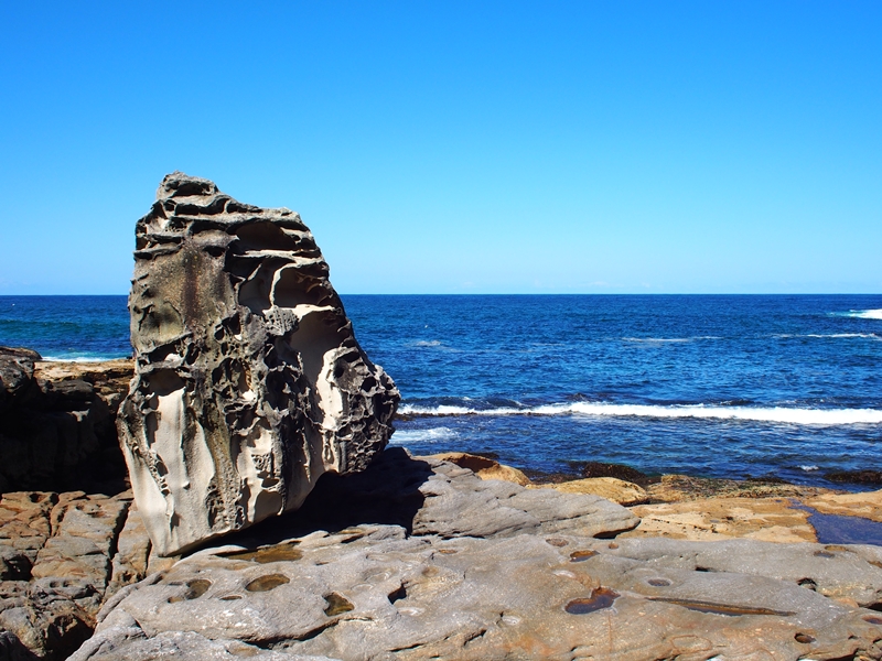 Bronte to Bondi Beach