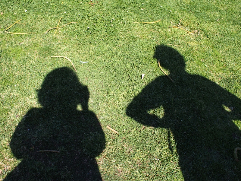 Bronte to Bondi Beach