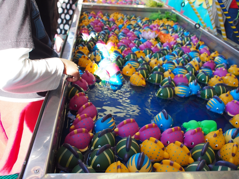 The Royal Melbourne Show