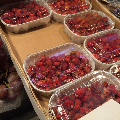 ตลาด La Boqueria บาร์เซโลน่า สเปน