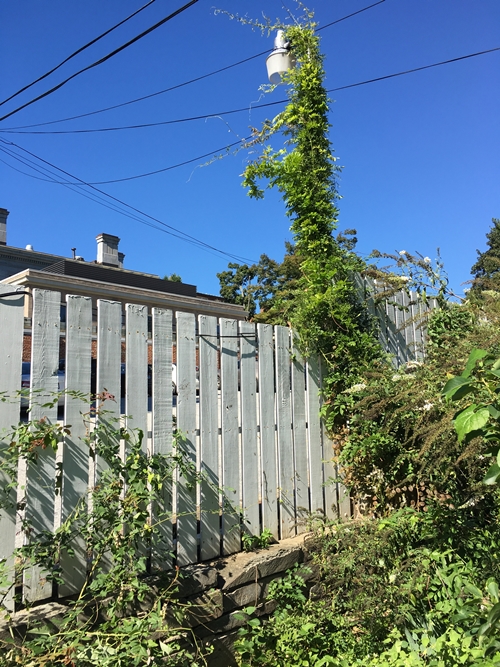 Rock Creek Park, Old stone house.