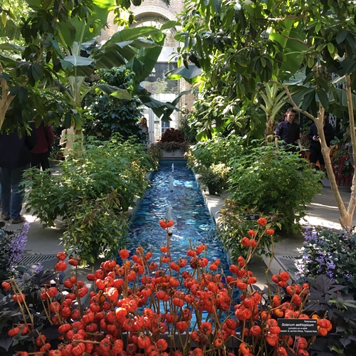 ๊United States Botanic Gardens