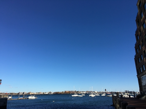 วิวจาก Harbor Walk