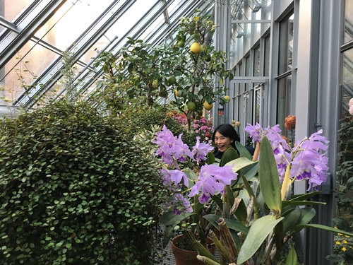 Isabella Gardner Museum