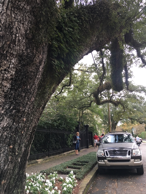 Garden district, New Orleans