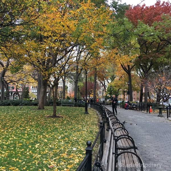 Autumn in NYC