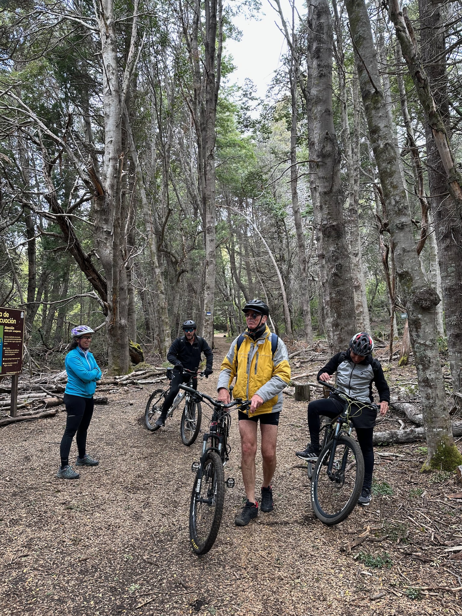 Parada en el bosque de Arrayanes