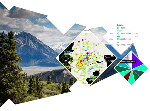 AlpineIQ cannabis retail software