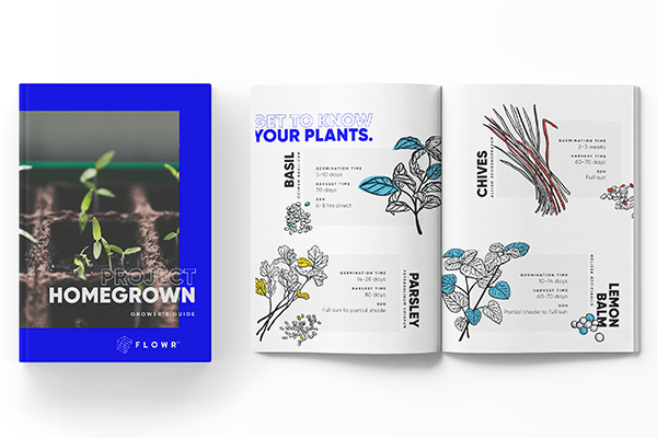 Flowr Growing Guide