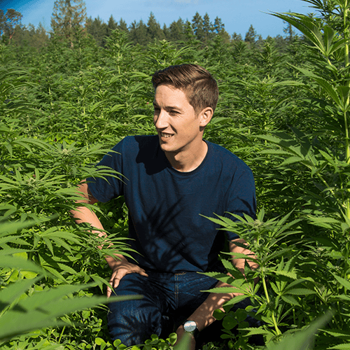 Alex Rumi GOOD BUDS