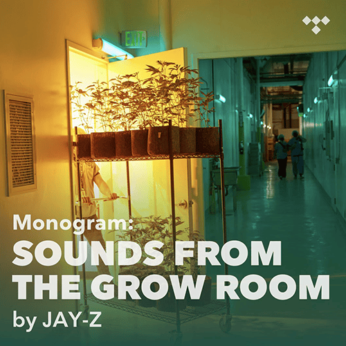 Jay Z Cannabis Brand Monogram Playlist