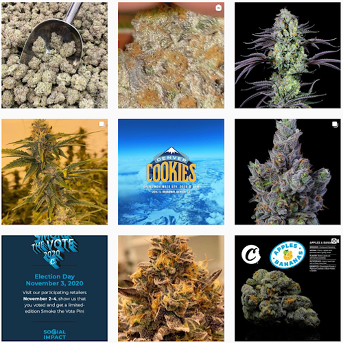 Cookies American Cannabis Social Media