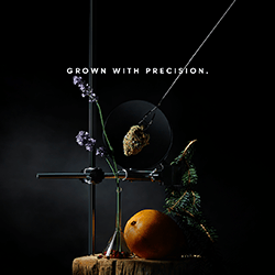 Flowr Canadian Cannabis Marketing Campaign