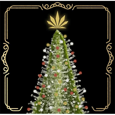 Top Leaf