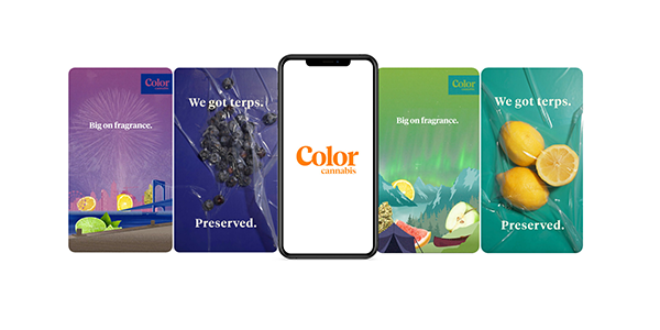 Color Cannabis Marketing Campaign