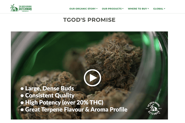 Cannabis Educational Videos