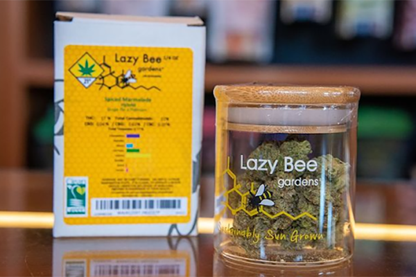 Lazy Bee