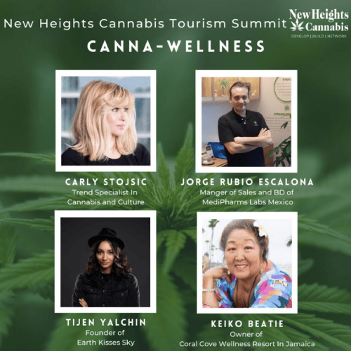 New heights cannabis summit