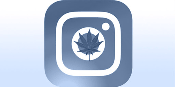 Threads Cannabis