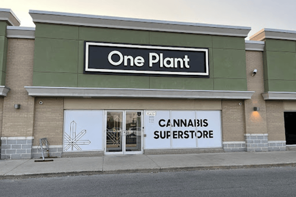 One Plant Cannabis