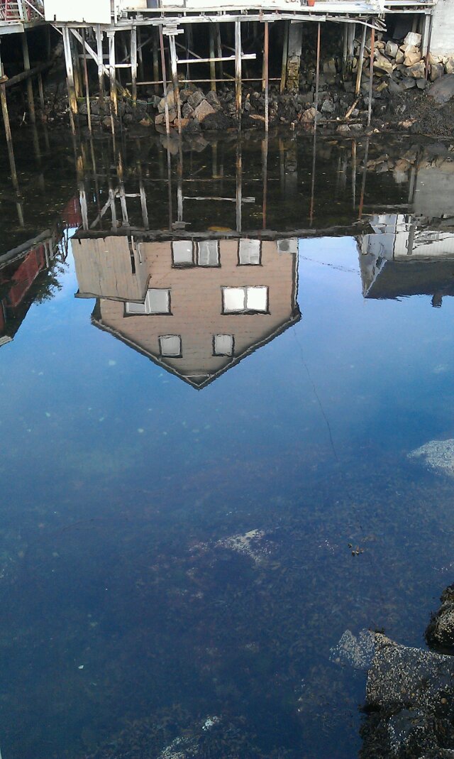 IMAG0236.jpg image