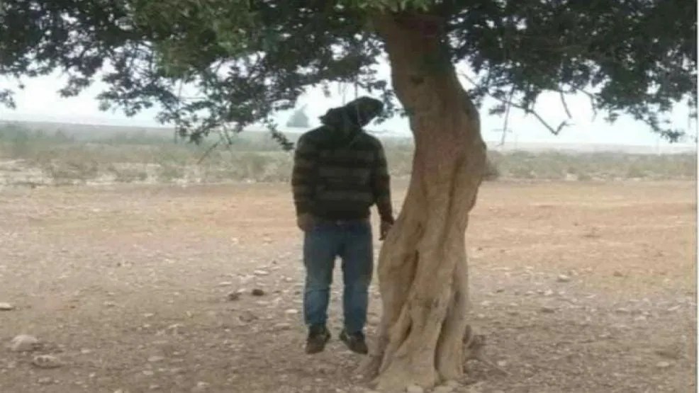 العثور على جثة شاب معلقة بشجرة شمال موريتانيا وتشكيل لجنة للتحقيق