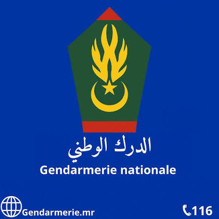 بعد ساعتين من التوقيف.. الإفراج عن مدير وكالة الأخبار