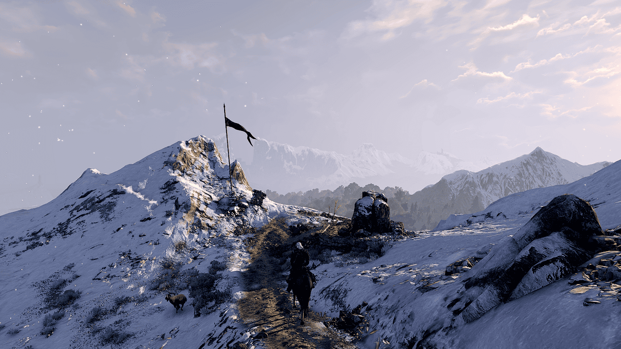 A dangerous game in witcher 3