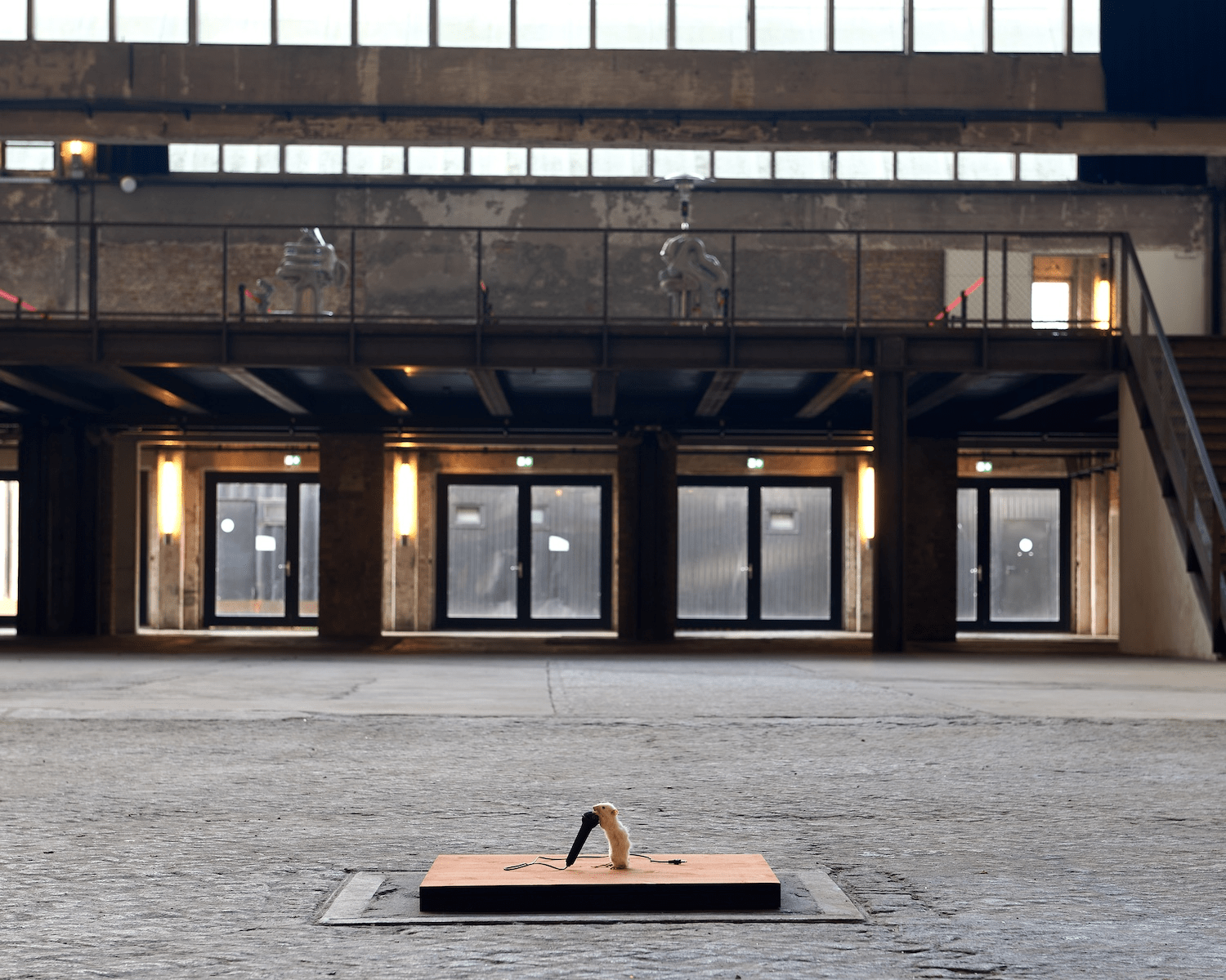 Installation view: “Polyphonic Views“ at Funkhaus Berlin, 2025. Photography by Adrian Escu