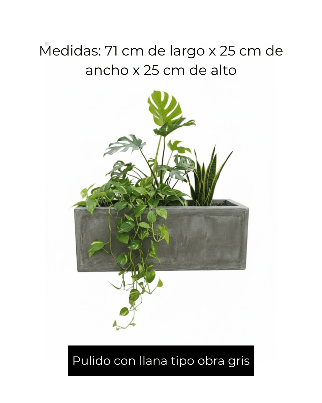 jardiner arectangular chica 2