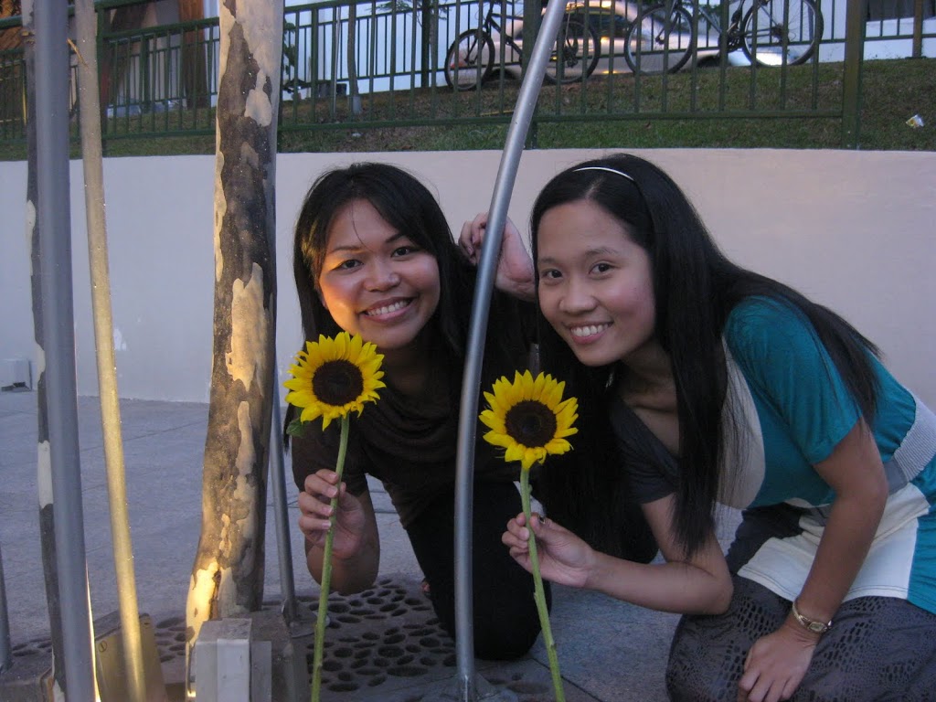 Sunflowers Made Our Day