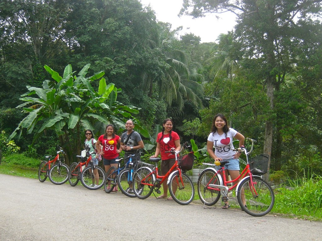 Pulau Ubin biking