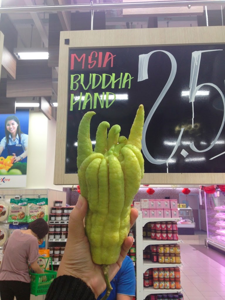 Buddha’s Claw