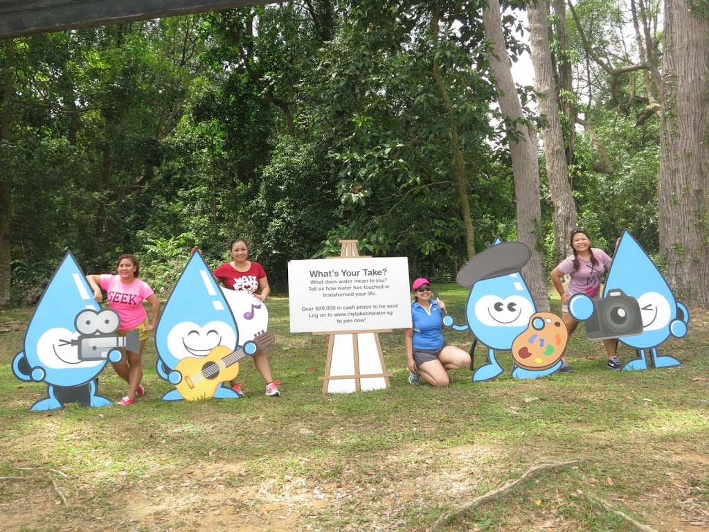 MacRitchie Reservoir Park Treetop Walk