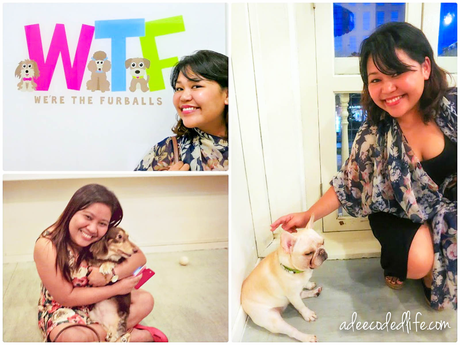 We’re The Furballs Dog Cafe (with 2017 Update)