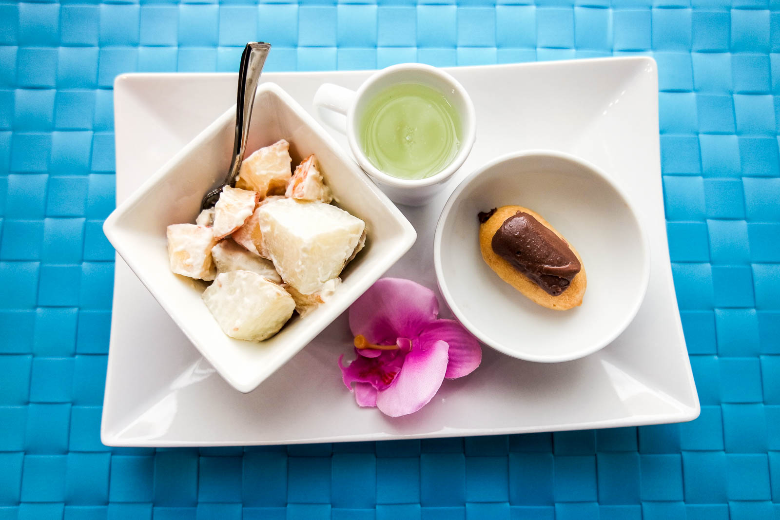 Skin Shape Club – Skin Shaper Program (Review)