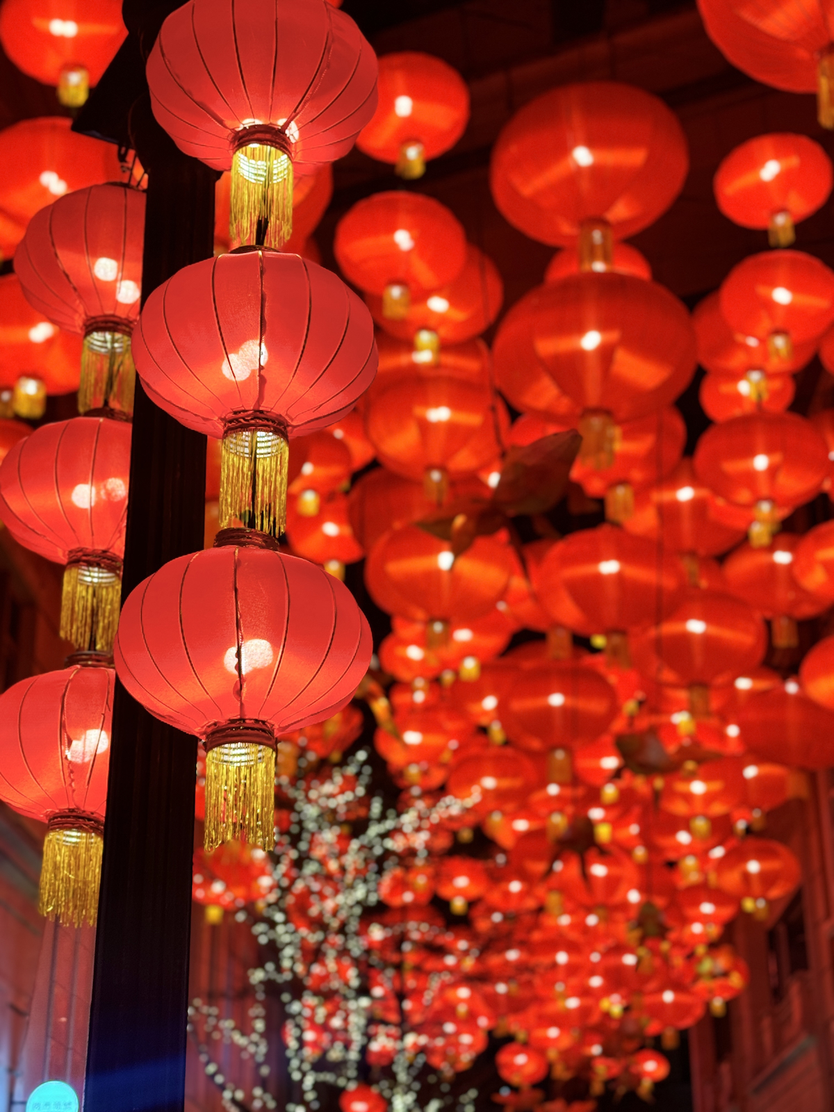 Chinese New Year 2024