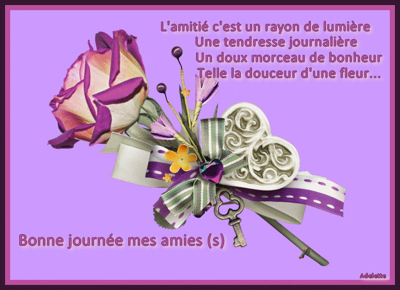 Le 27 avril 2011, l'assemblée générale des nations unies a déclaré le 30 juillet comme journée internationale officielle de l'amitié. Bonne journÃ©e l'amitiÃ©