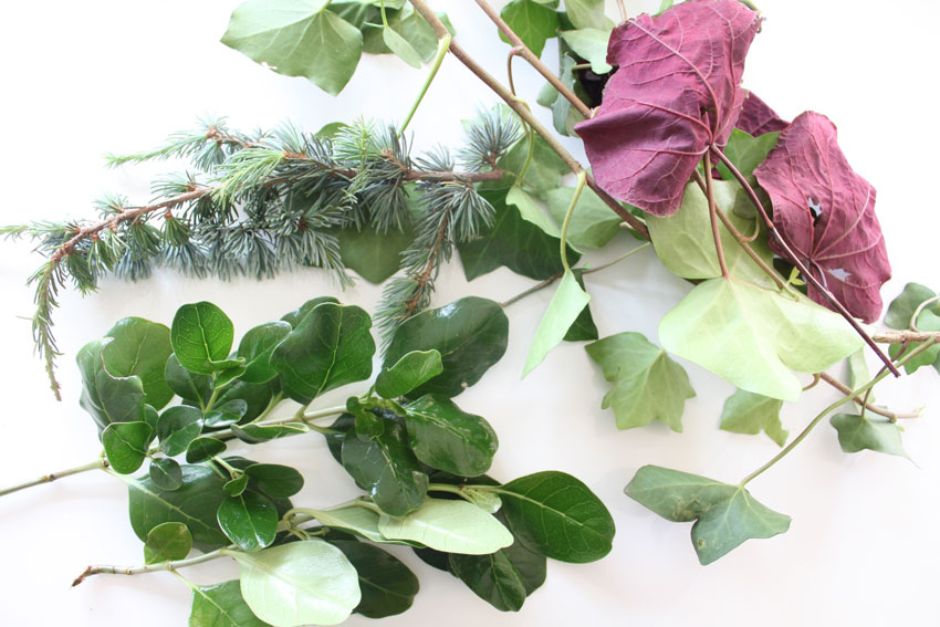 How to preserve leaves for a Christmas wreath · Adelle