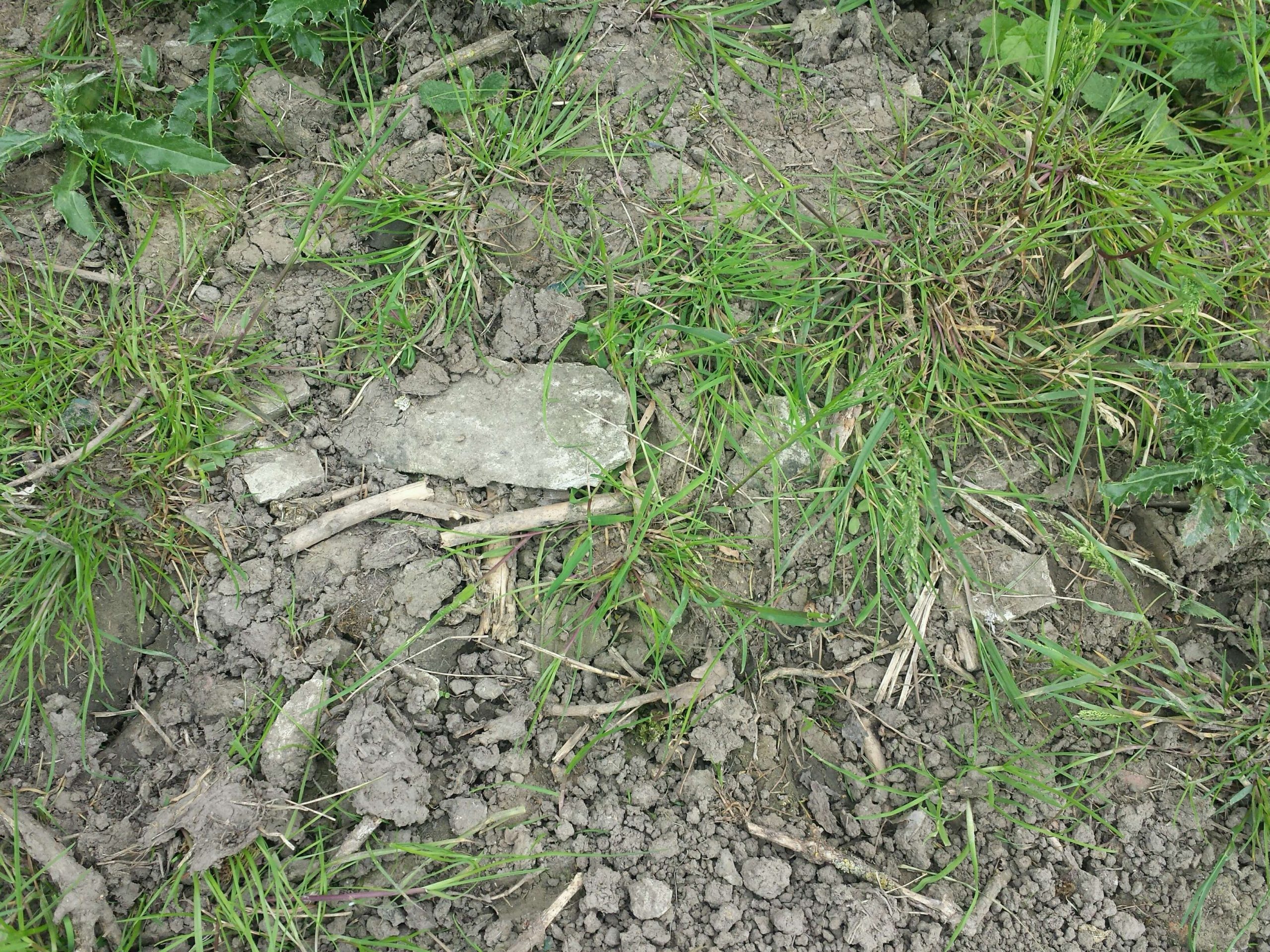 Asbestos in Soil Health Risk Assessment and Remediation Adeptus