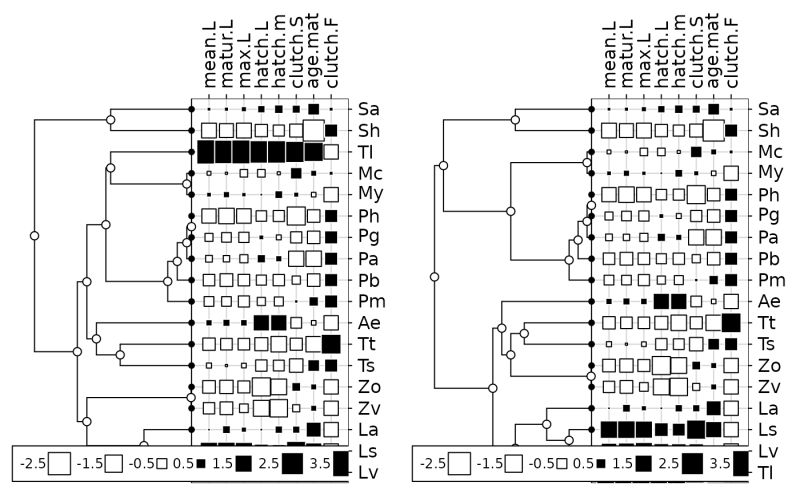 Github Lizards Database Ultrabox Samples Ultrabox Samples For Personal Use - Stunning Ocean Background - 8K