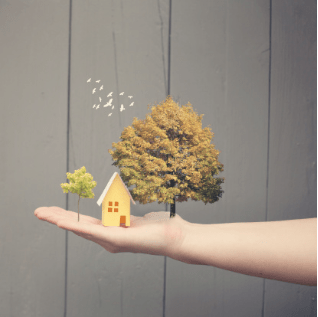 · papiers peints qui se décollent ; Quels Sont Les Consequences D Un Air Trop Sec Sur Notre Sante Et Celle De Nos Enfants