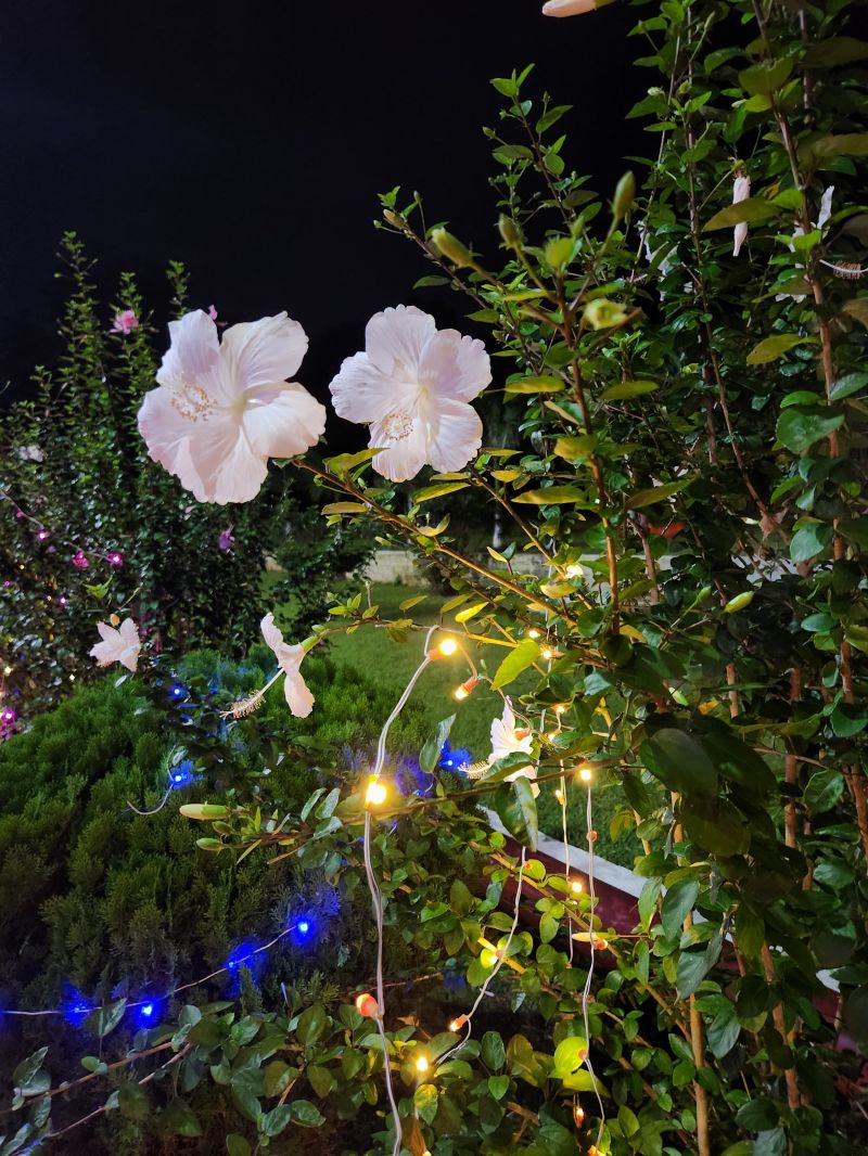 Bit Fresher S Guide - Best Gradient Backgrounds in Mobile