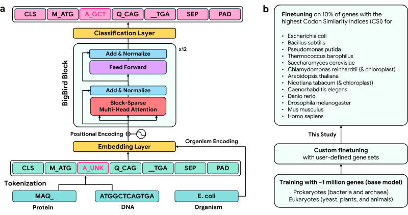 Github Adibvafa Codontransformer Codontransformer The Ultimate Tool - Amazing 4K Dark Illustrations | Free Download