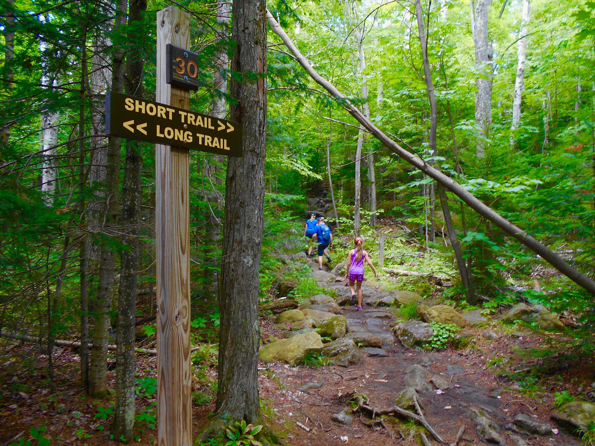 best hiking in the adirondacks