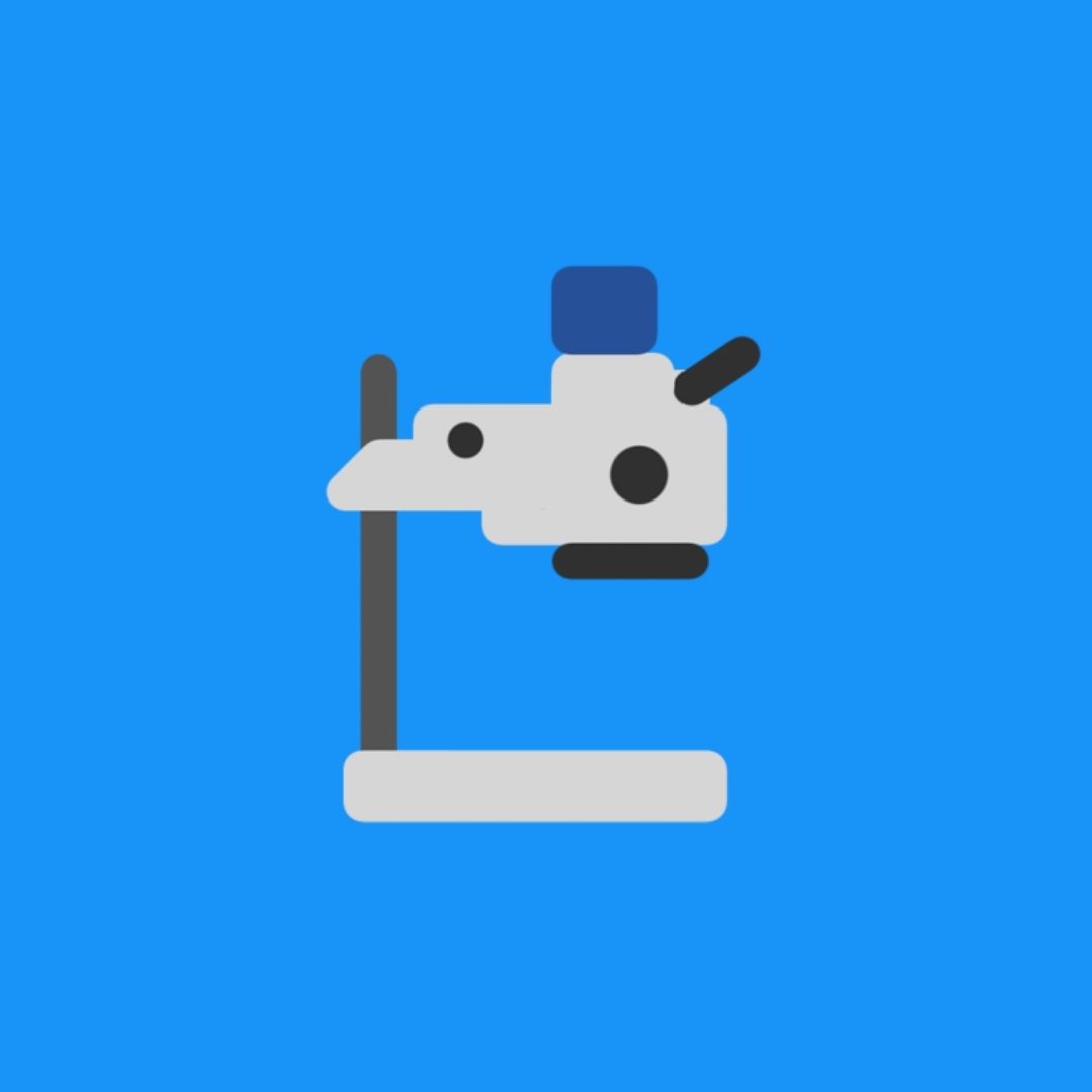 Stereo Microscope