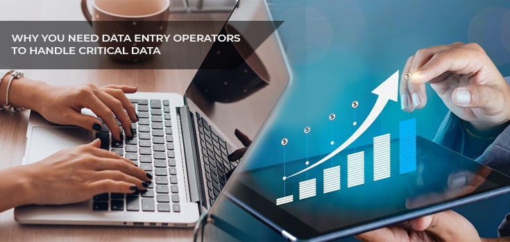 How Data Entry Operators Handle Critical Data Tasks - Premium Light Image Gallery - High Resolution