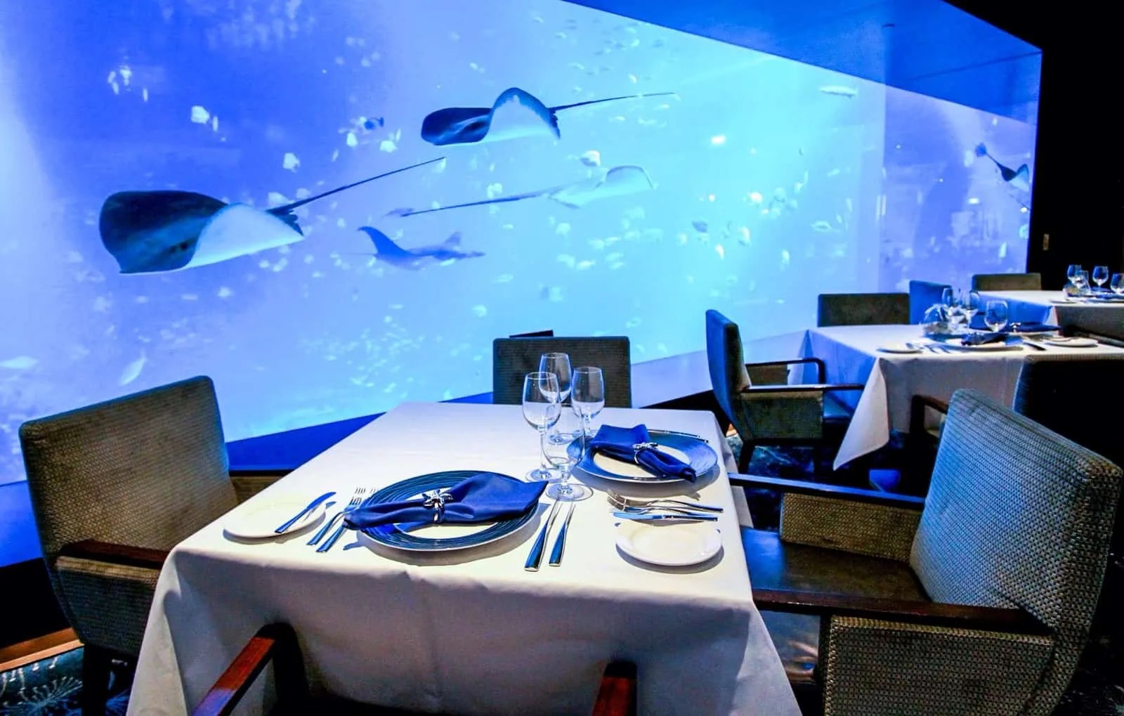 Ocean restaurant by cat cora