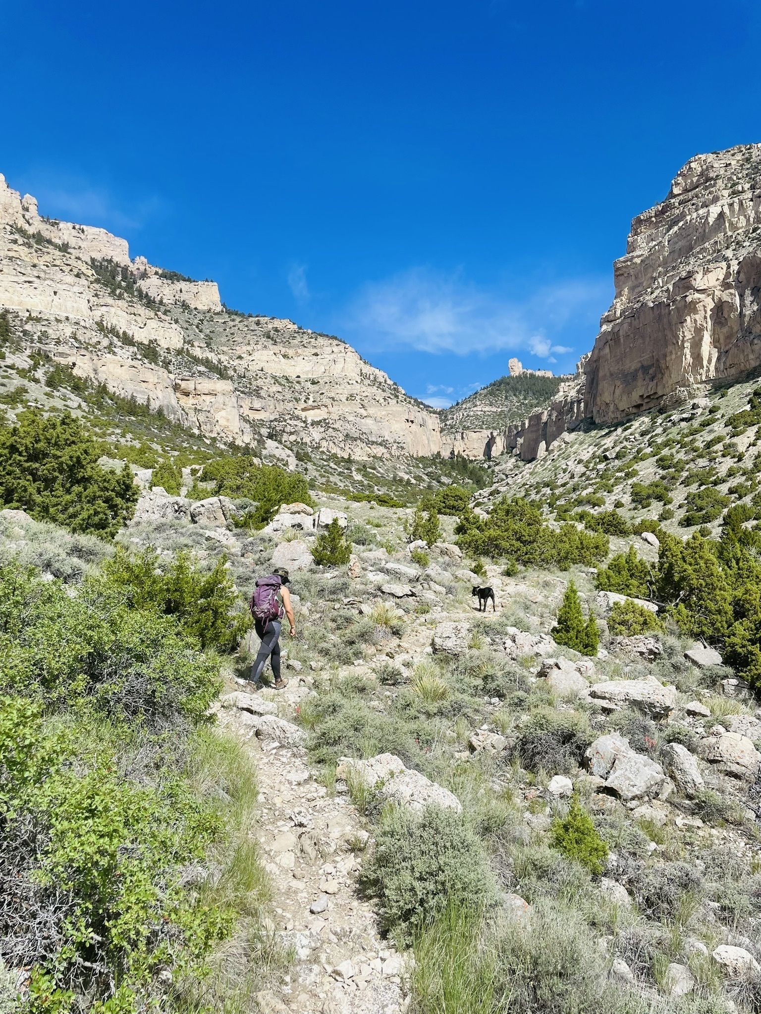 This Nature Trail Is One Of The Best Remote Hikes In Wyoming Image 2 1 